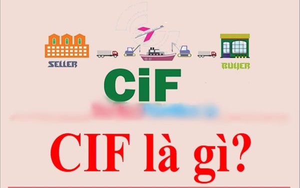 CIF là gì? Phân biệt giữa giá CIF và số CIF