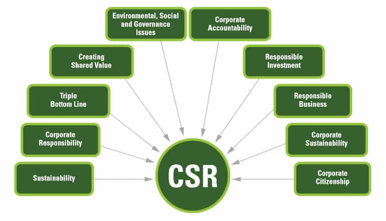 CSR là gì? CSR là viết tắt của từ gì? Công việc của nhân viên CSR...